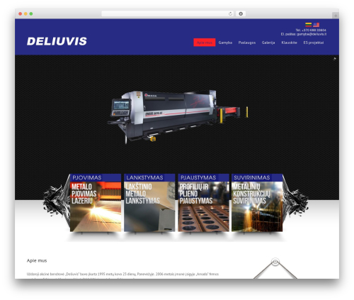 Novus WordPress theme - deliuvis.com