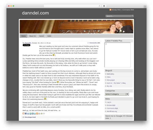 TwitPic (twitpic) free WordPress plugin - danndel.com TwitPic (twitpic) free WordPress plugin - danndel.com