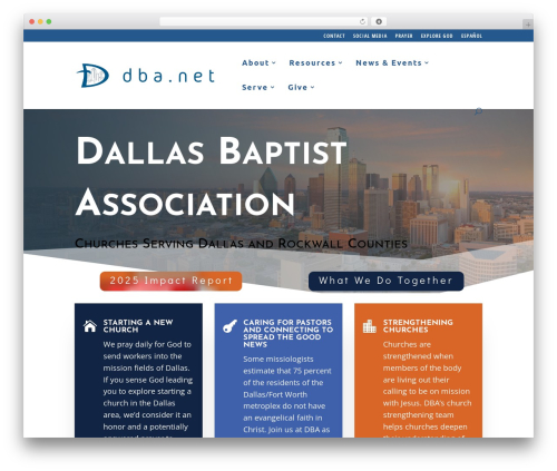Theme WordPress Divi - dba.net
