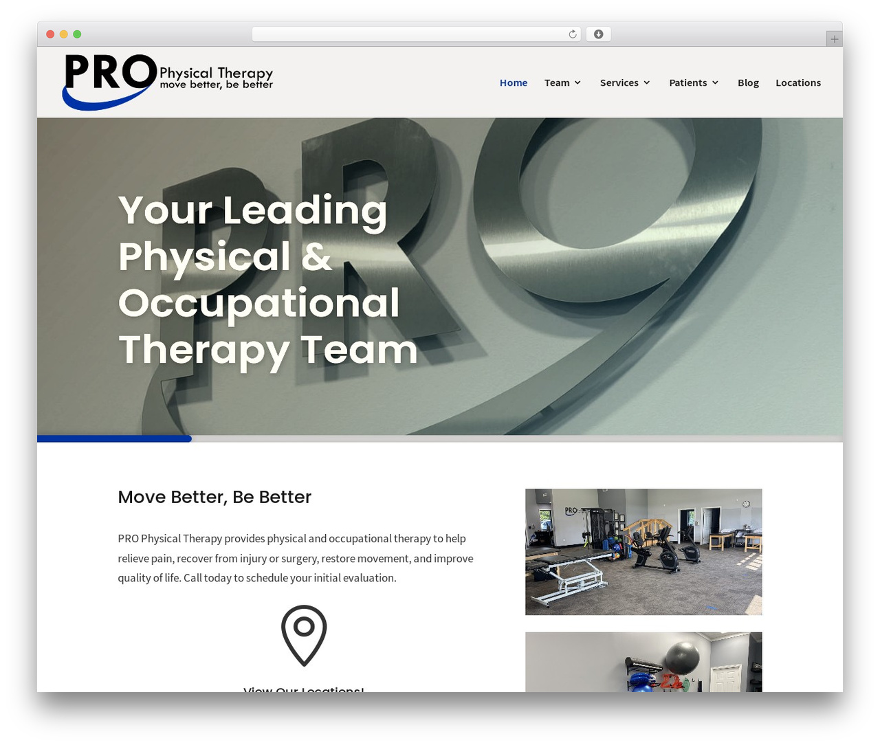 WordPress theme Divi - prophysicaltherapyservices.com