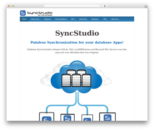 WP theme Responsive Pro - dbsyncstudio.com