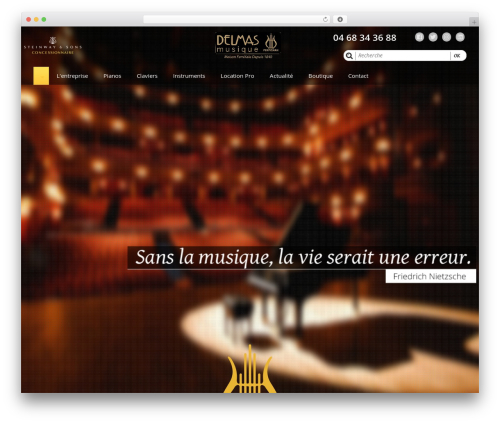 WP Supersized (wp-supersized) free WordPress plugin - delmas-musique.com WP Supersized (wp-supersized) free WordPress plugin - delmas-musique.com