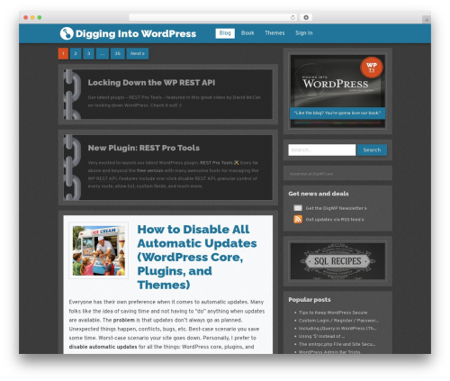 DigWP theme WordPress - digwp.com