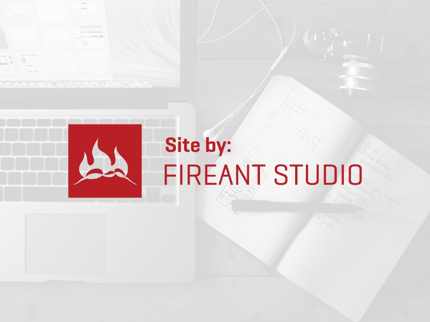 FAS WordPress theme by Fireant Studio