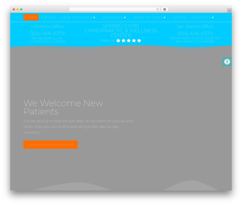 Parent Theme best WordPress theme - springtownchiropractic.com