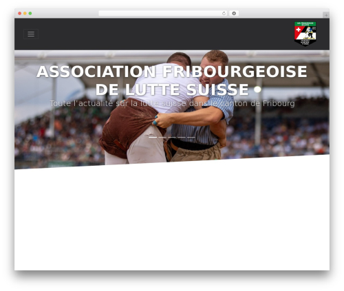 Wp frontend media master WordPress plugin - afls.ch