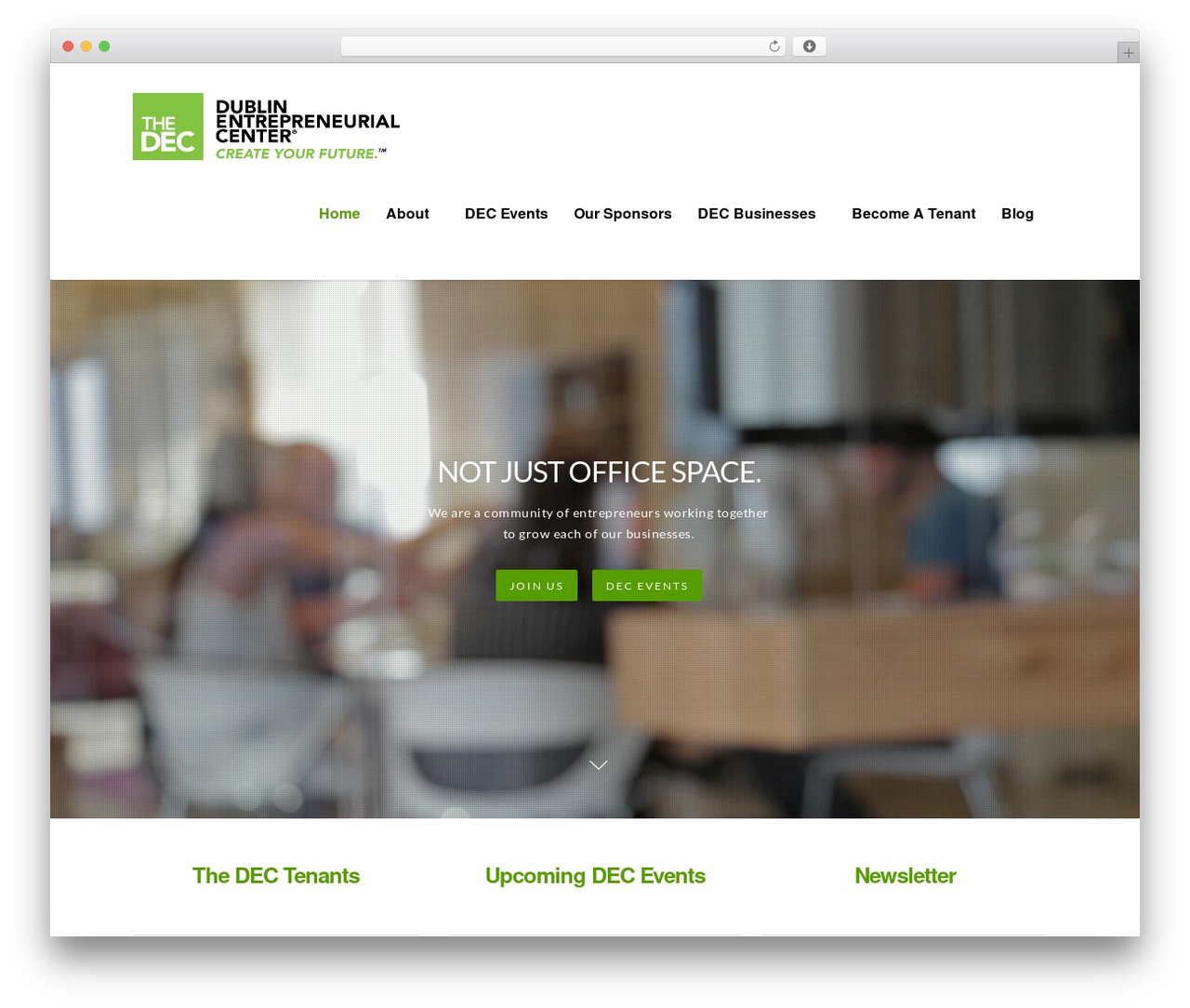 Theme WordPress Salient - decindublin.com