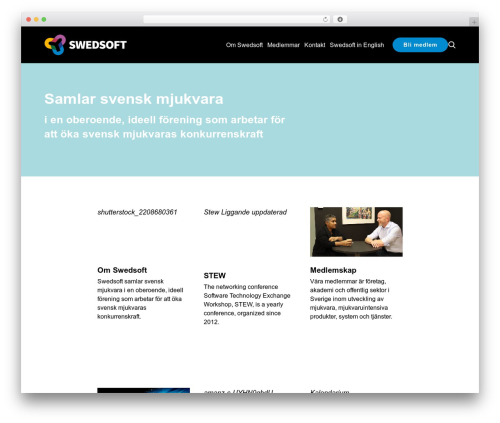 Theme WordPress WW Platform - swedsoft.se
