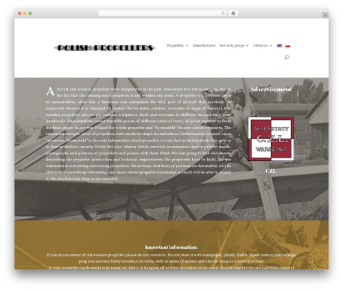 WordPress theme Divi - polishpropellers.com