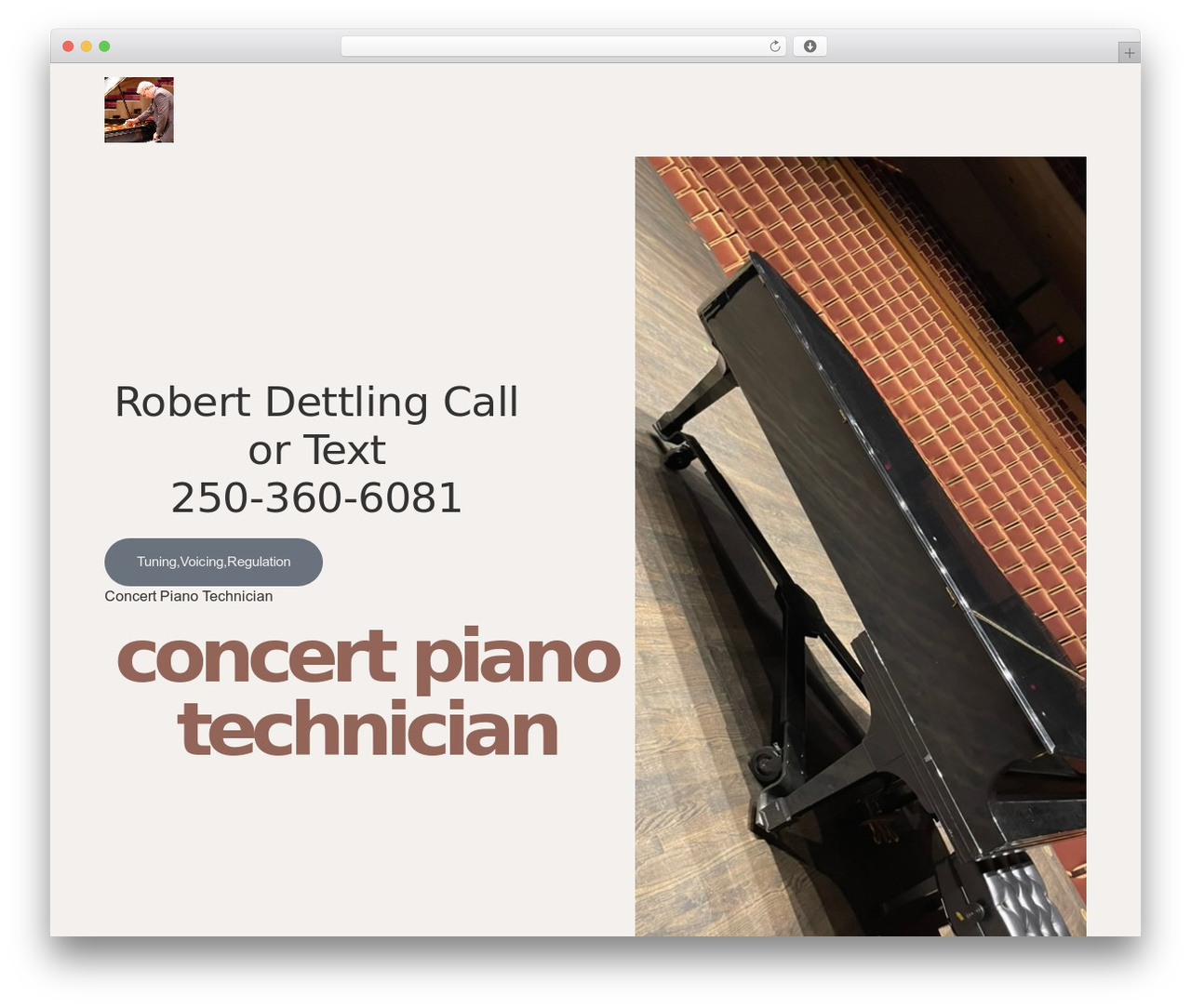 WordPress theme Hello Elementor - pianotunervictoria.com