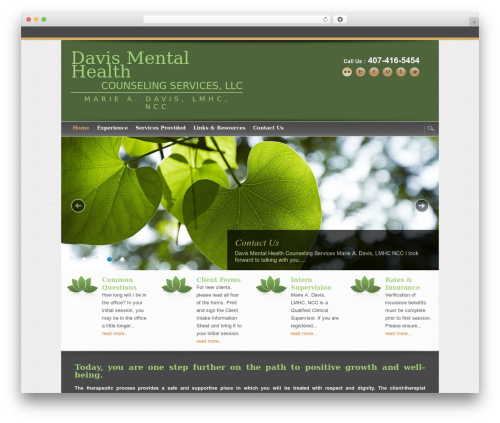 Best WordPress theme Catalyst - davismhcounseling.com