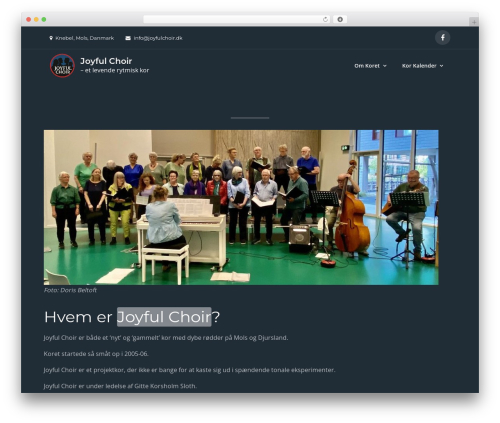 WordPress.org Glossary (wporg-glossary) free WordPress plugin - joyfulchoir.dk