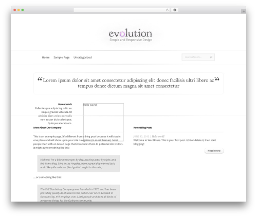 Evolution WordPress theme - prudhoe2012.com