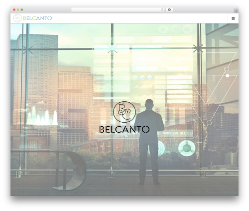 NO BORDER theme WordPress - belcanto.info