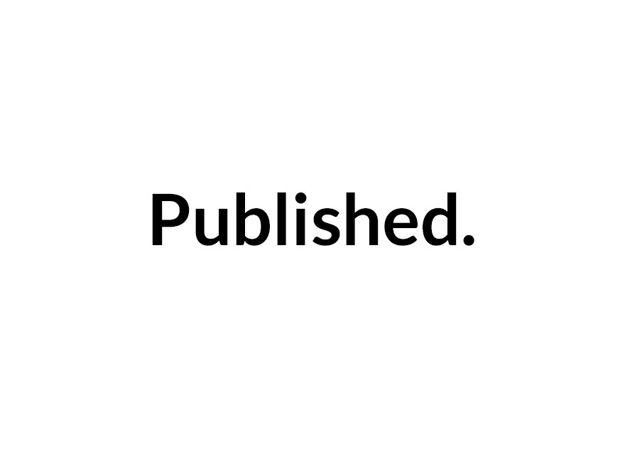 Published WordPress theme