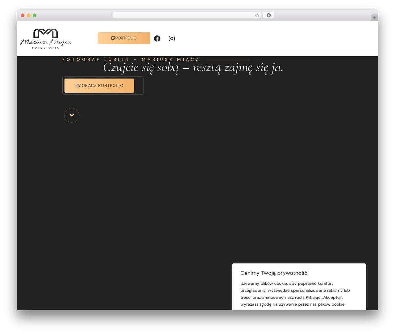 Theme WordPress Hello Elementor - mariuszmiacz.com