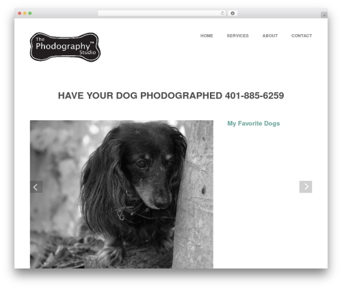 themeworks WordPress theme - phodographystudio.com