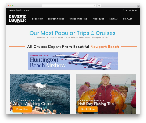 Themeum core WordPress plugin - daveyslocker.com
