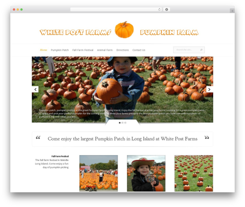 Walter_wiki_plugin WordPress plugin - pumpkinpatchlongisland.com