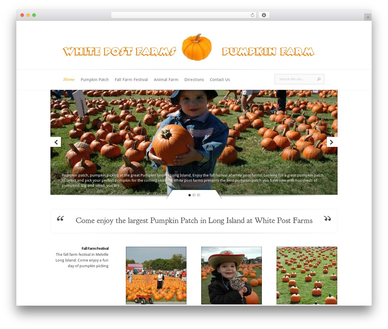 WordPress theme Evolution - pumpkinpatchlongisland.com