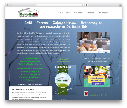 Solid performance WordPress plugin - deholleeik.nl