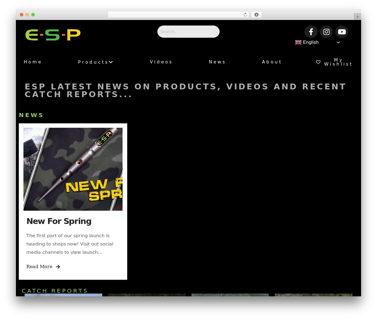 WordPress theme Eshop Elementor - esp-carpgear.com/news WordPress theme Eshop Elementor - esp-carpgear.com/news