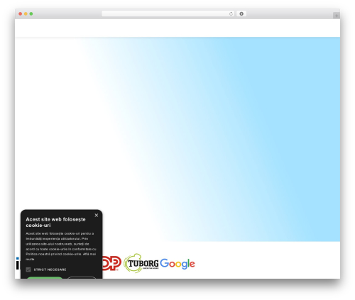 Cookie script com WordPress plugin - eurofinconsult.ro
