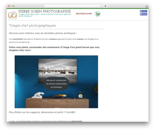 AccessPress Ray WordPress theme - pierregobin.com