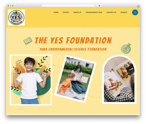 Bearsthemes addons WordPress plugin - yubasciencefoundation.org