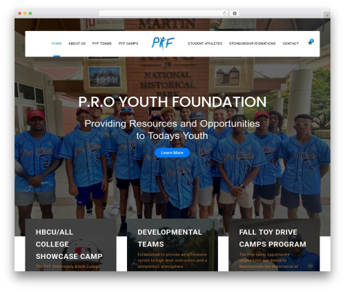 BigSlam top WordPress theme - proyouthfoundation.com