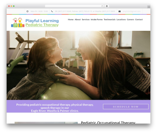 Childor WordPress theme design - playfullearningtherapy.com