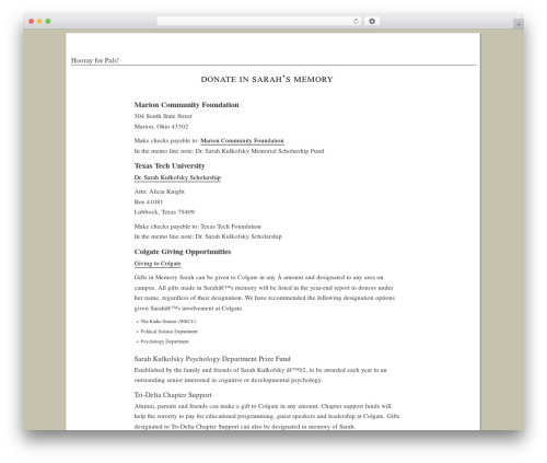 Doc WordPress theme - palsday.com