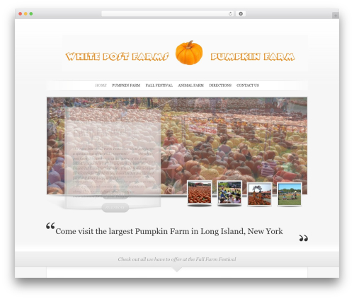 Walter_wiki_plugin WordPress plugin - pumpkinfarmlongisland.com