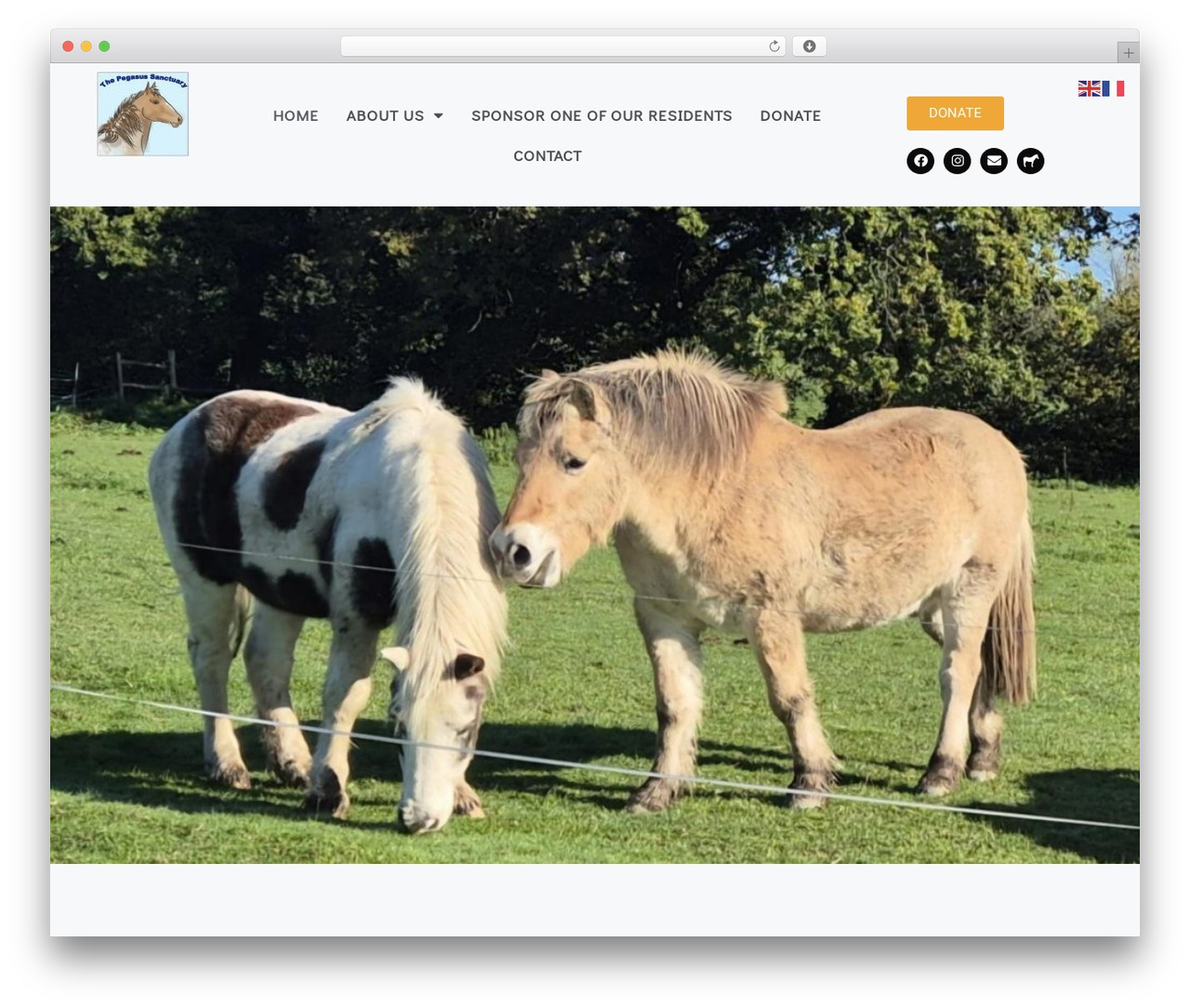 Theme WordPress GeneratePress - pegasus-sanctuary.com Theme WordPress GeneratePress - pegasus-sanctuary.com