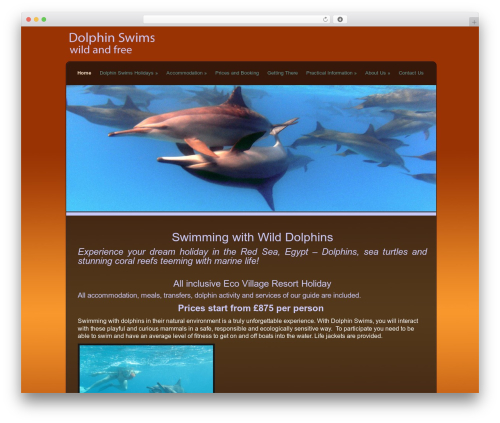 WordPress theme Dolphin - dolphinswims.co.uk