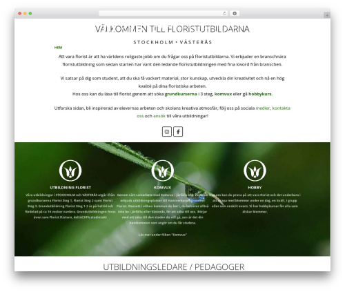 Create best WordPress theme - floristutbildarna.se