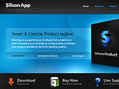 SiliconApp WP theme