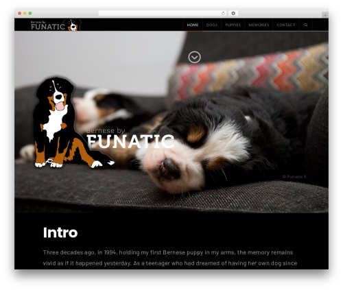 X smooth scroll WordPress plugin - funatic.fi