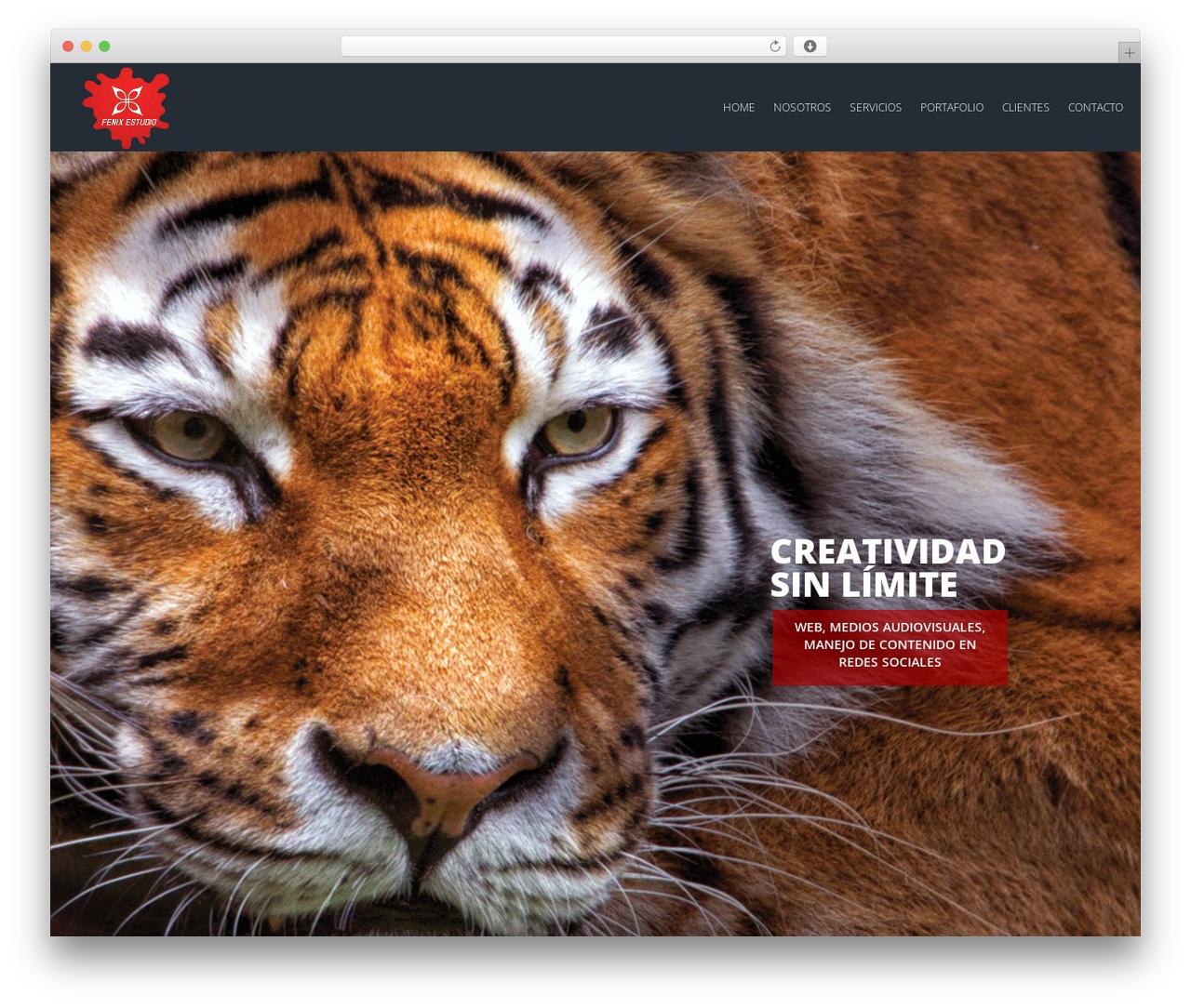 xLander WordPress theme - fenix-estudio.com