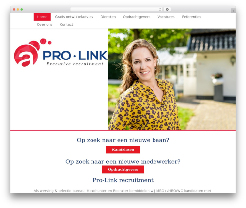 Theme WordPress Databoss - pro-link.nl