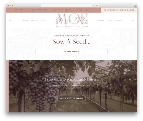 Theme WordPress Hello Blush - yourstrulymoe.com