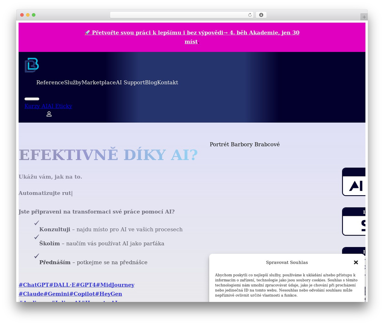 WordPress theme Bricks - barborabrabcova.cz WordPress theme Bricks - barborabrabcova.cz