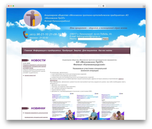 WordPress theme layout - protez-ortoped.ru