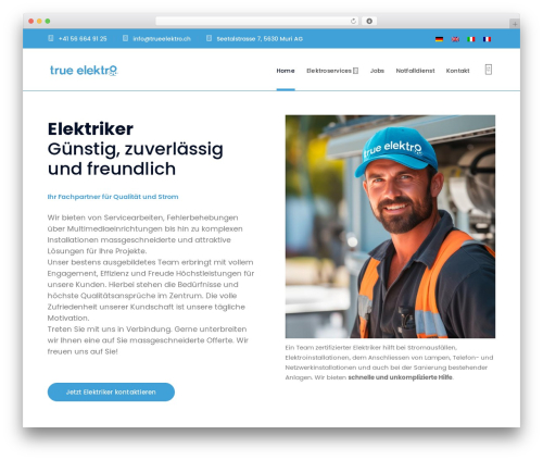Wprt addons WordPress plugin - trueelektro.ch