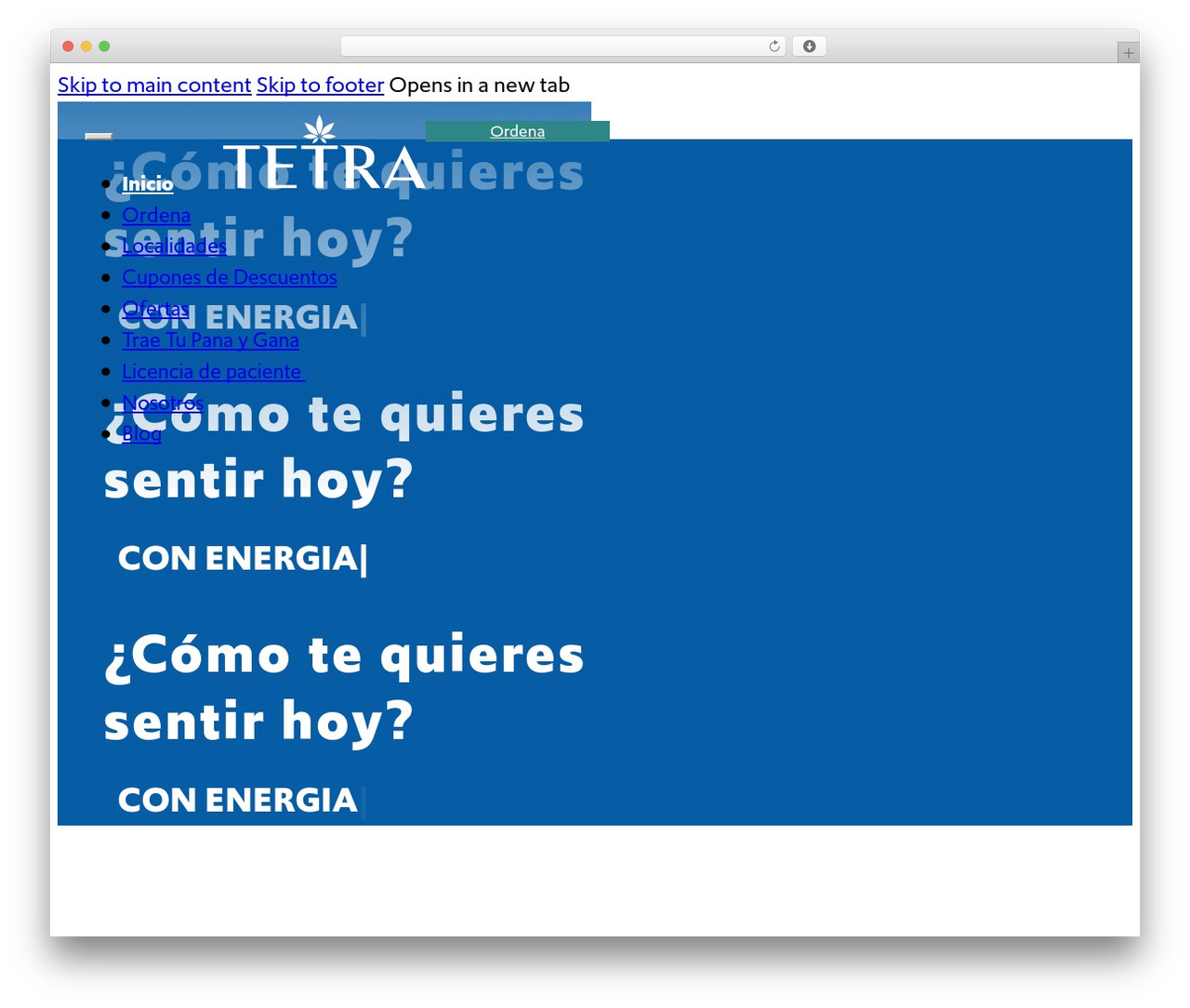 Bricks WordPress theme - tetrapr.com