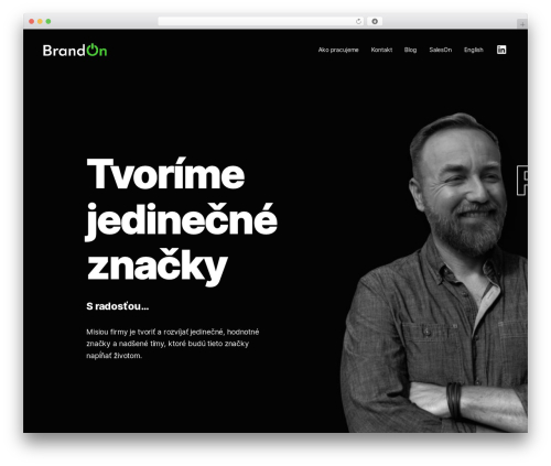 ThemeRain Core (themerain-core) free WordPress plugin - brandon.sk