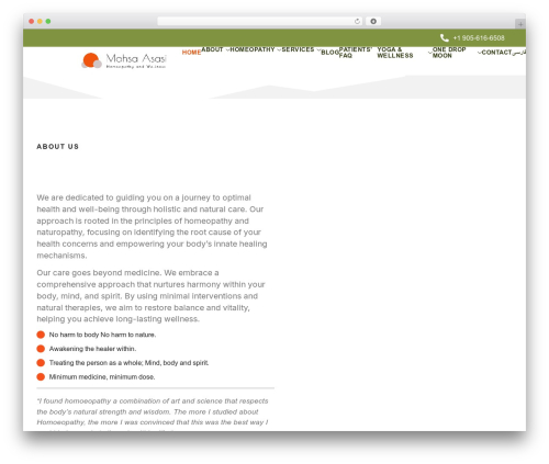 Romethemeform WordPress plugin - classicalhomeopath.ca