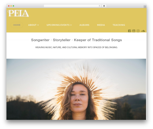 X email mailchimp WordPress plugin - peiasong.com