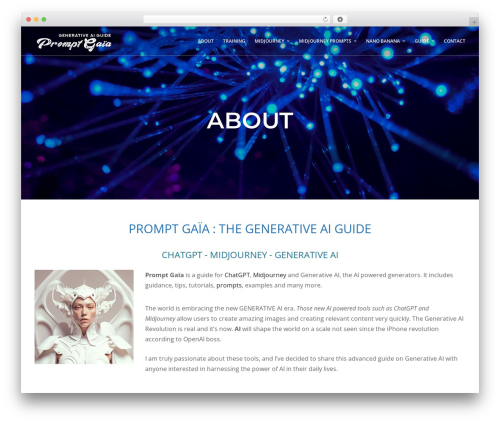 WordPress theme TopPic - promptgaia.com
