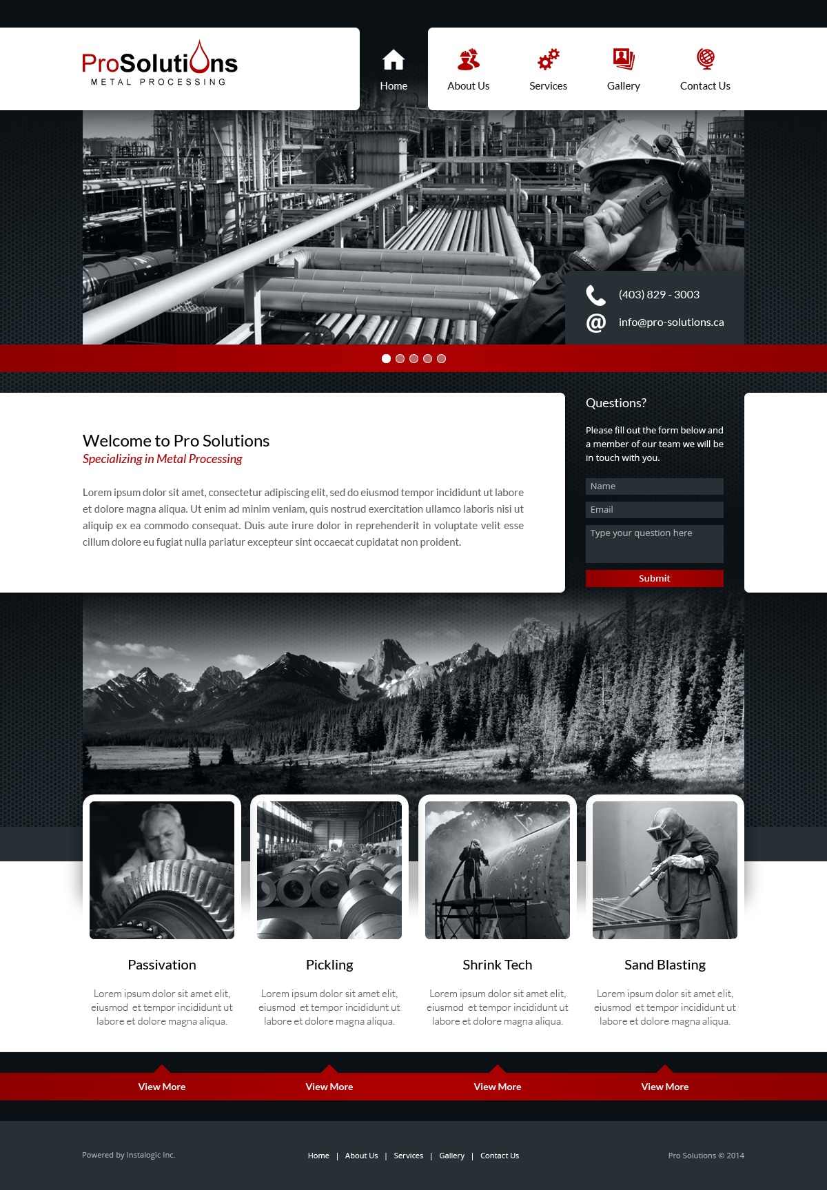 WordPress theme Pro Solutions by Rasel